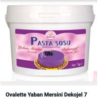 sauce à gâteau chocolat myrtilles 