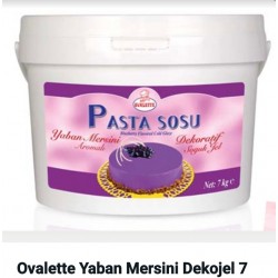 sauce à gâteau chocolat myrtilles 