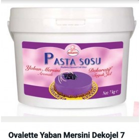 sauce à gâteau chocolat myrtilles 