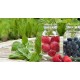 Aromes--extraits-patisserie